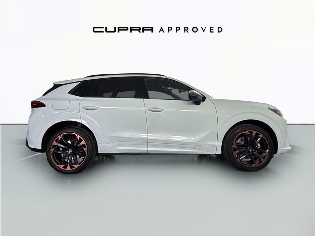 cupra terramar 2025 / foto grande (3)
