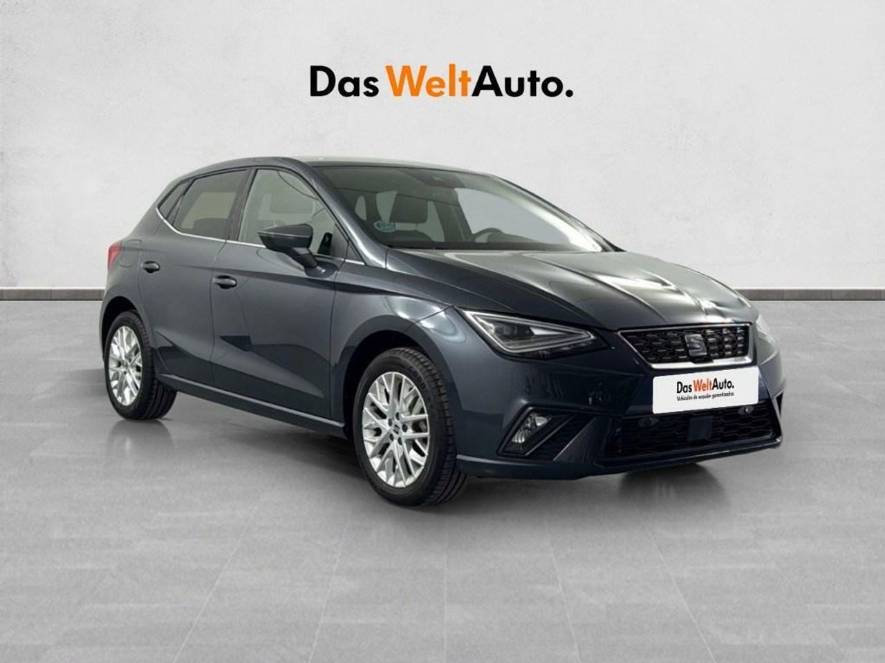 Foto seat ibiza 2024 /