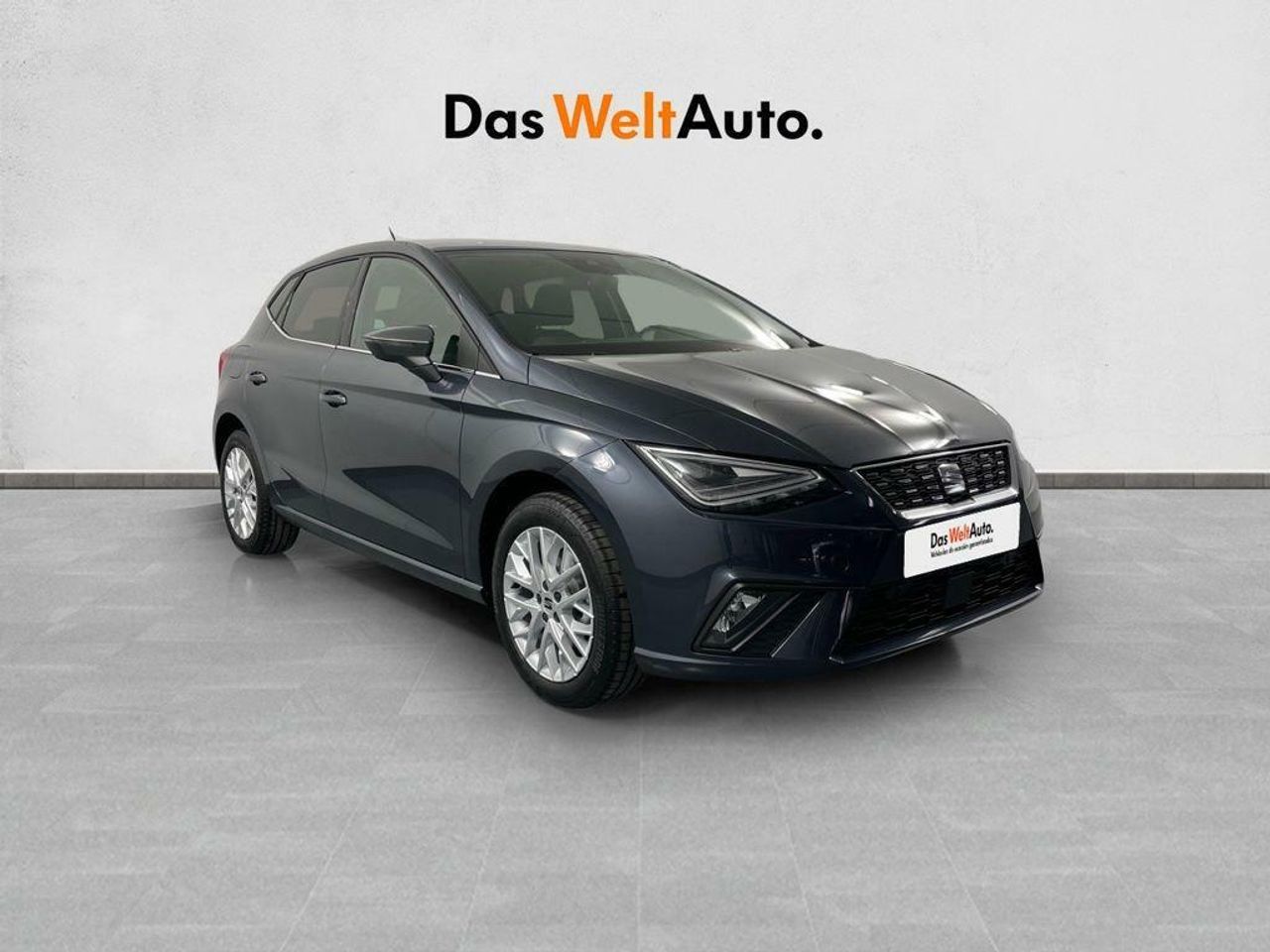 Foto seat ibiza 2024 /