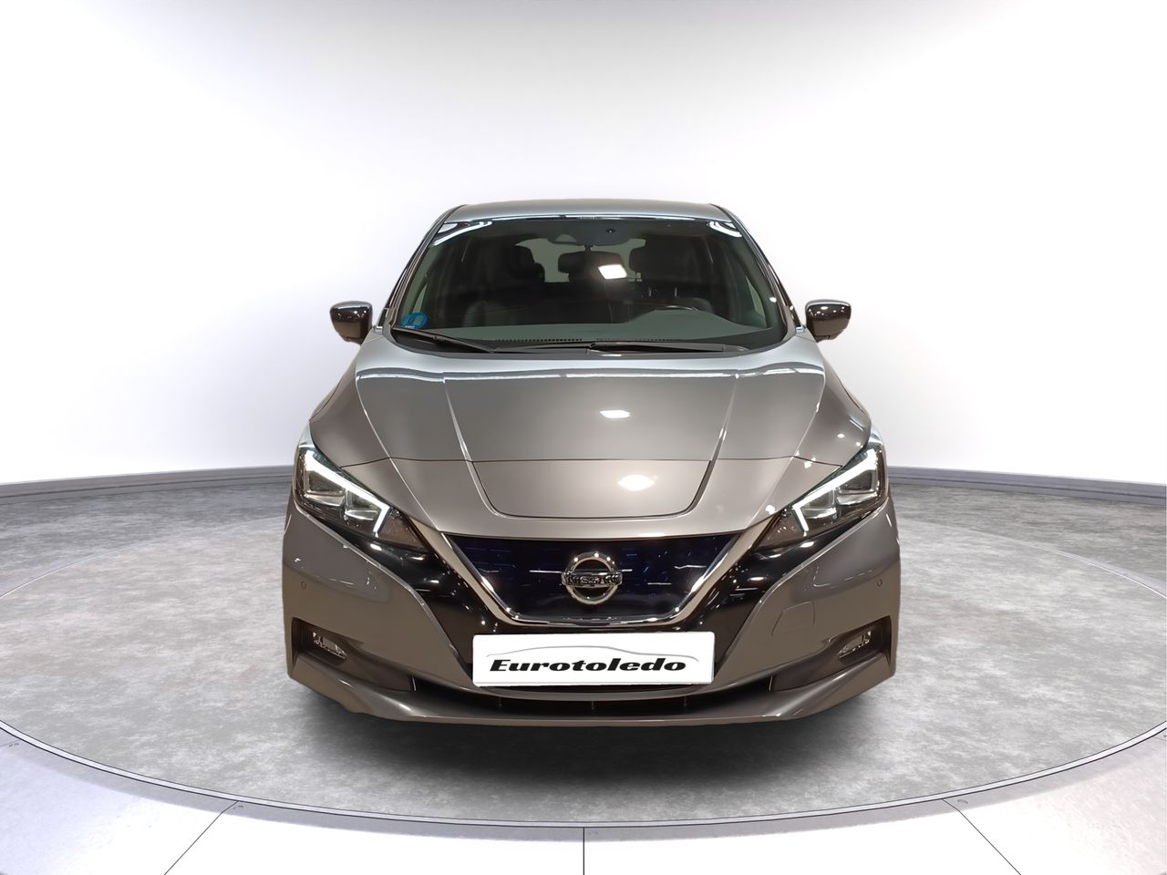 nissan leaf 2019 / foto grande (2)