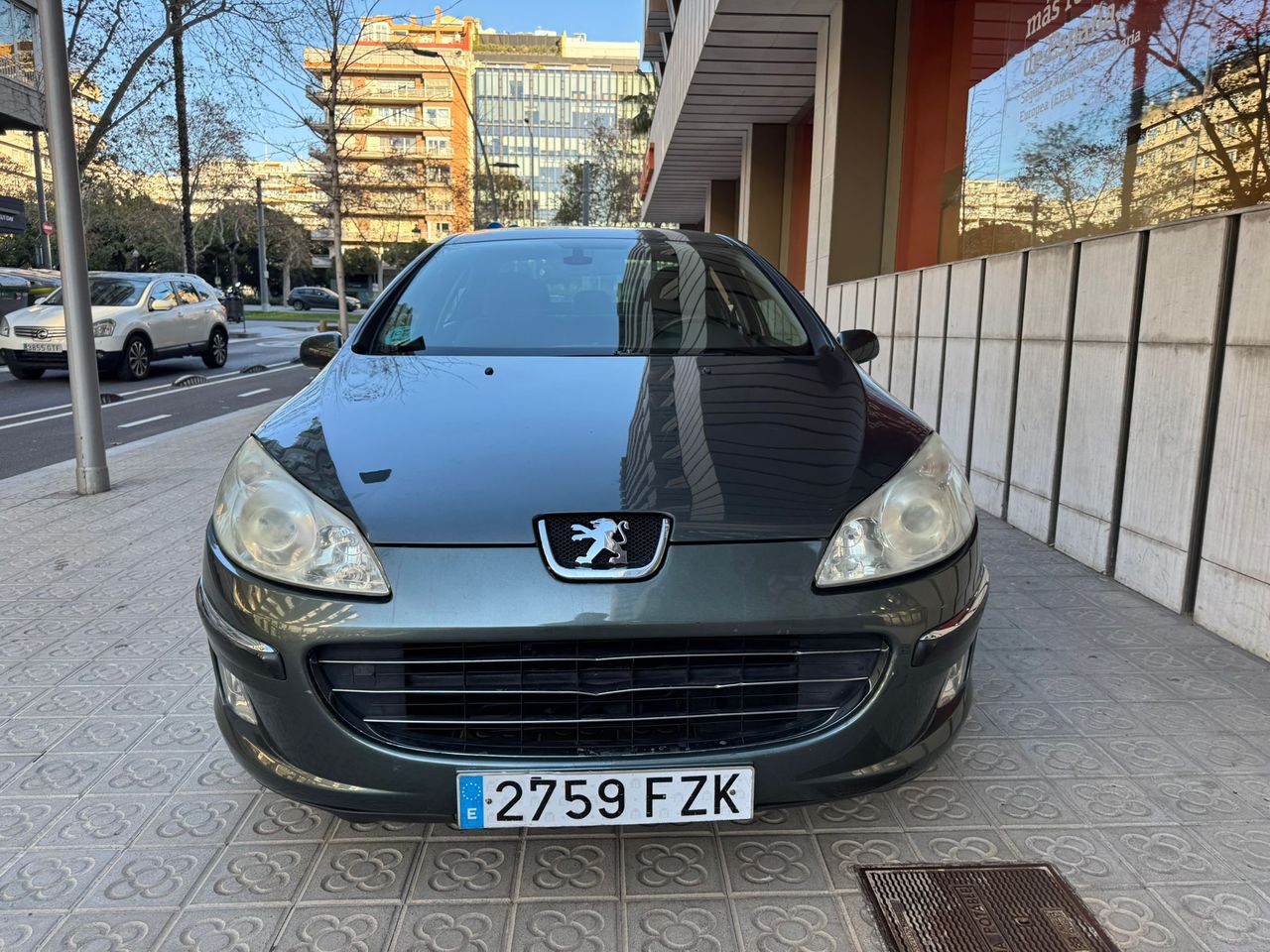 peugeot 407 2008 / foto grande (2)