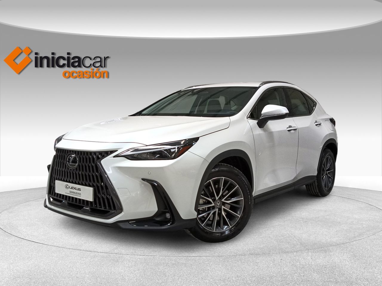 Foto lexus nx 2024 /