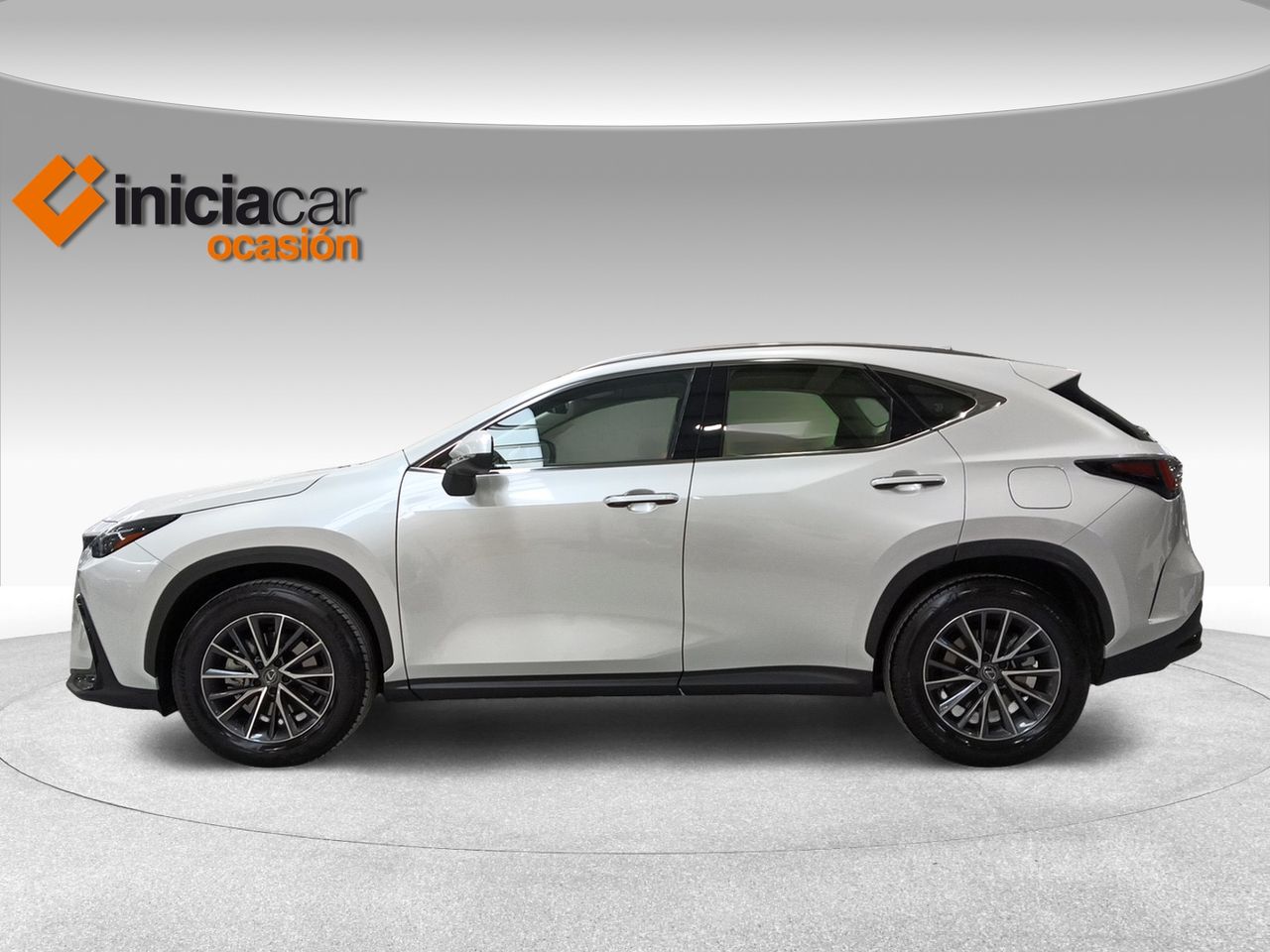 lexus nx 2024 / foto grande (3)