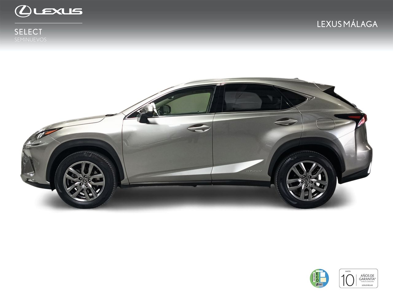 lexus nx 2018 / foto grande (3)