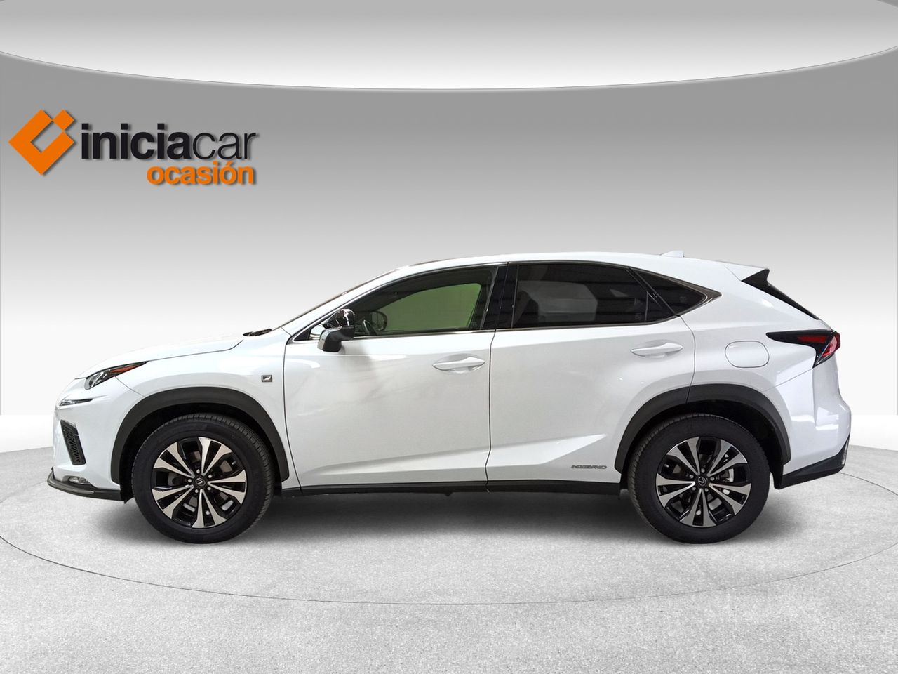 lexus nx 2019 / foto grande (3)