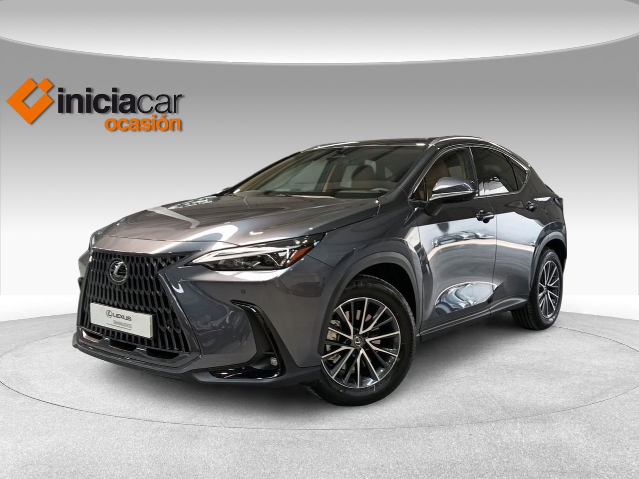 Foto lexus nx 2025 /