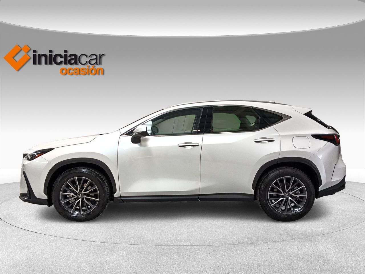 lexus nx 2024 / foto grande (3)
