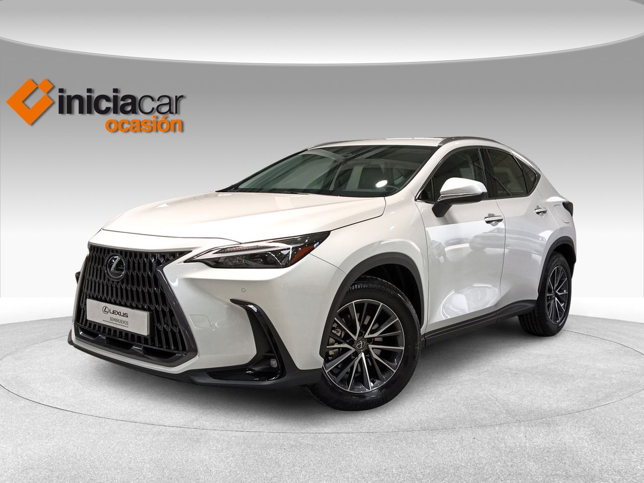 Foto lexus nx 2024 /