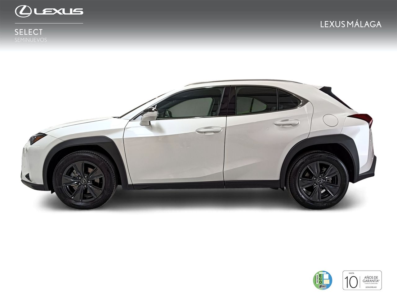 lexus ux 2025 / foto grande (3)