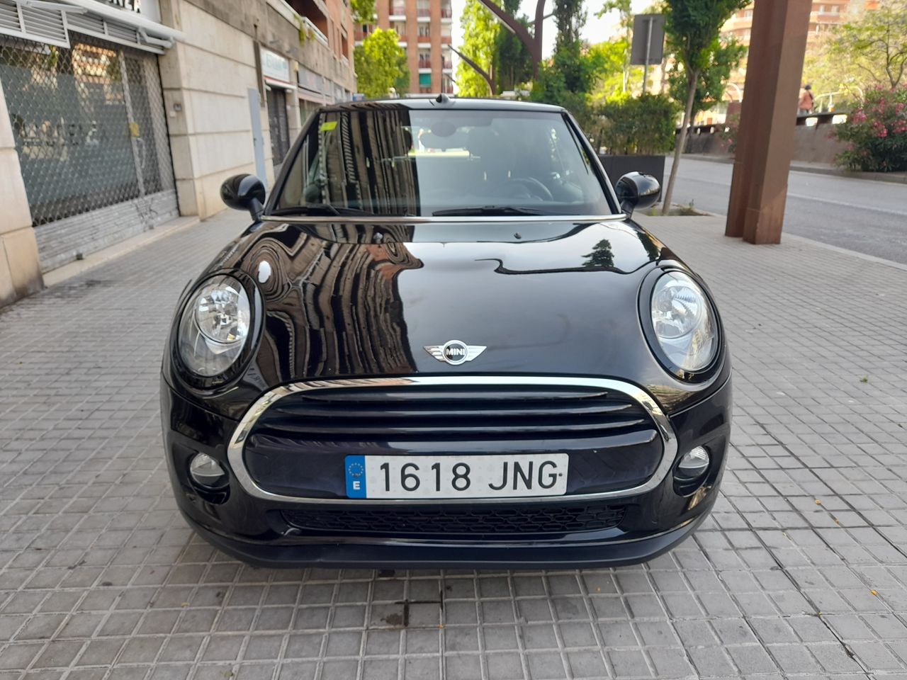 mini mini 2016 / foto grande (2)