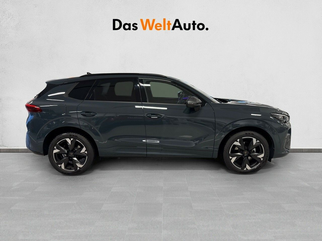 cupra terramar 2024 / foto grande (3)
