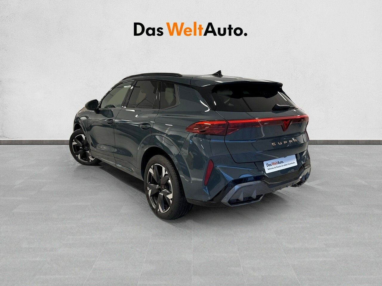 cupra terramar 2024 / foto grande (2)