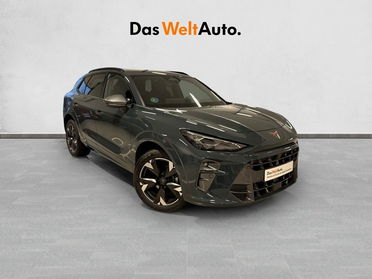 Foto cupra terramar 2025 /