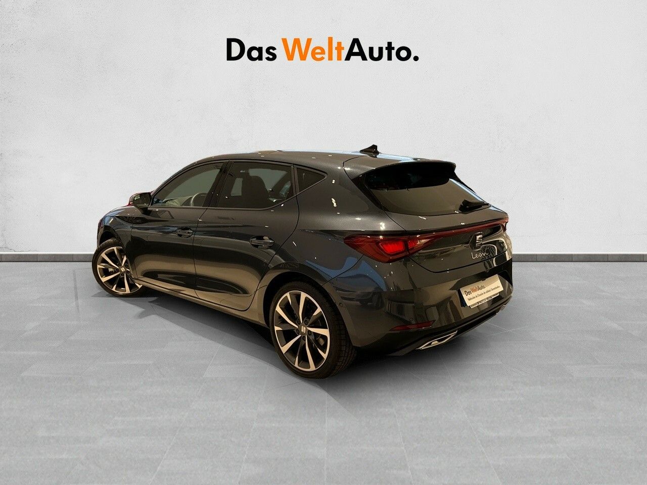 seat leon 2025 / foto grande (2)