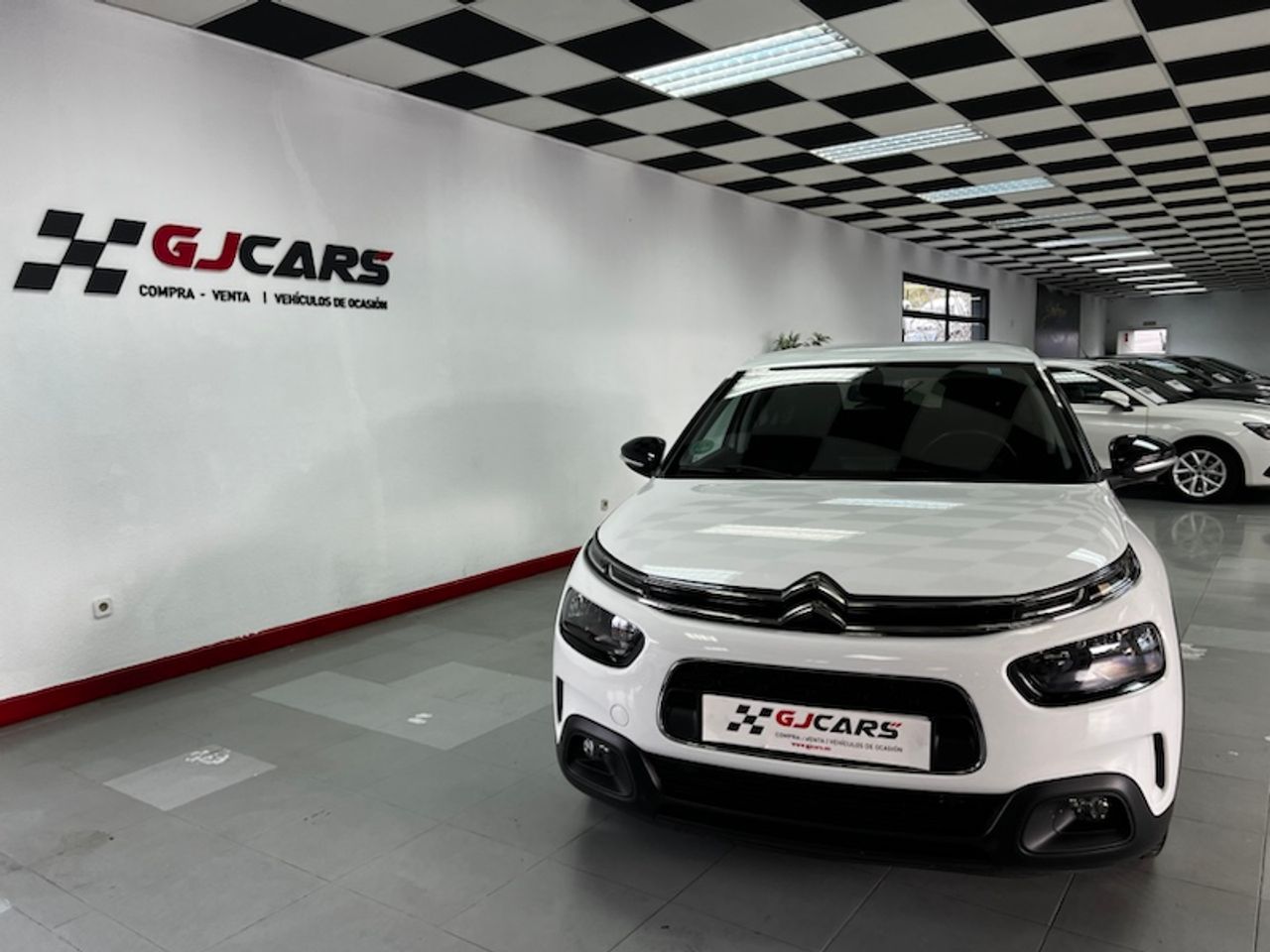 citroën c4 cactus 2019 / foto grande (3)