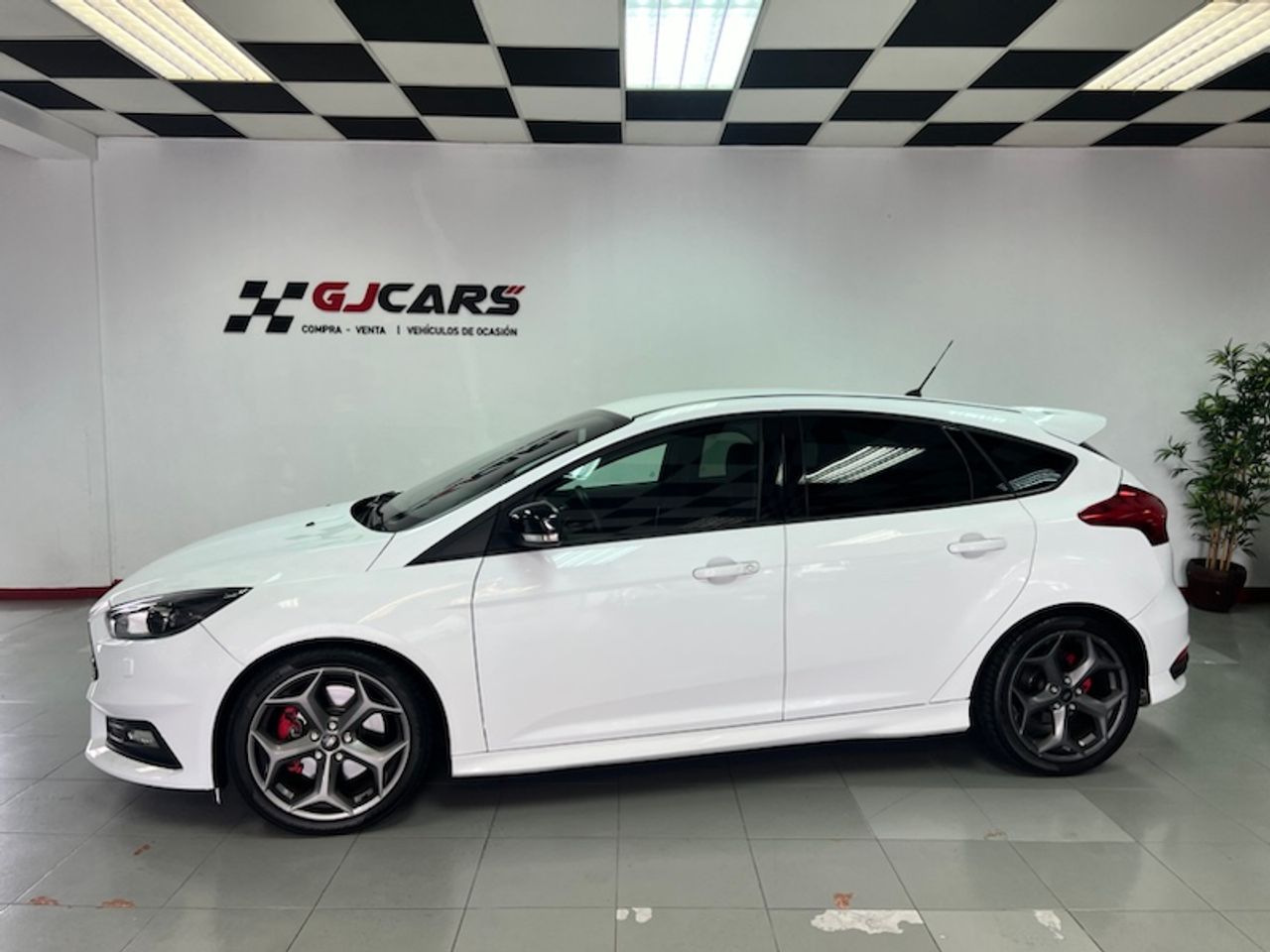 ford focus 2016 / foto grande (3)