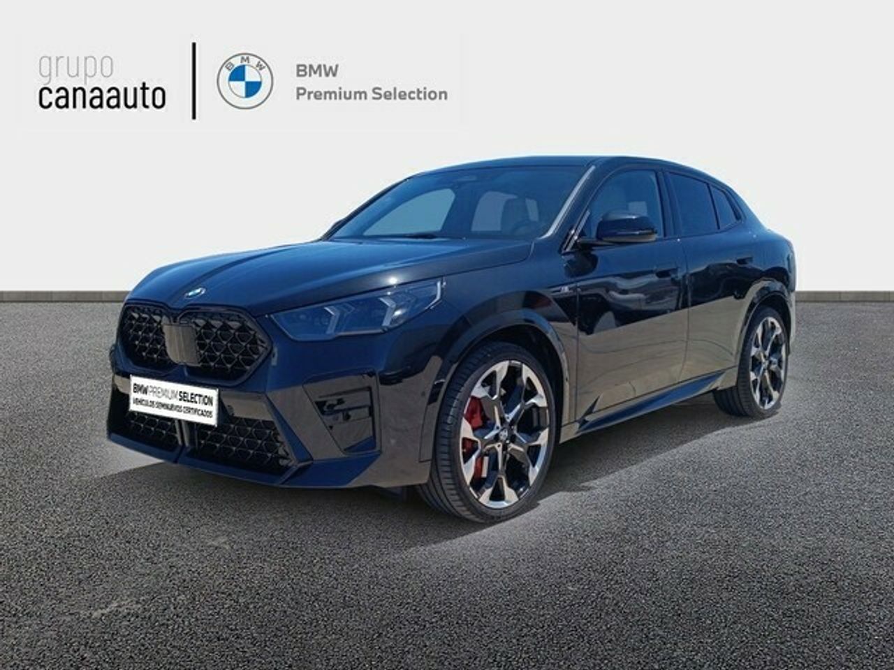 BMW X2 sDrive20i 125 kW (170 CV) - Foto 2