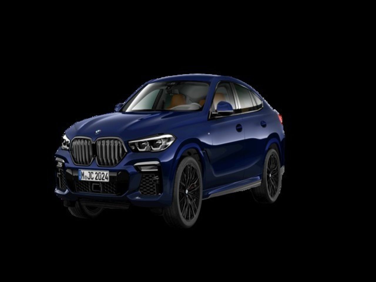 BMW X6 xDrive40d 250 kW (340 CV) - Foto 2