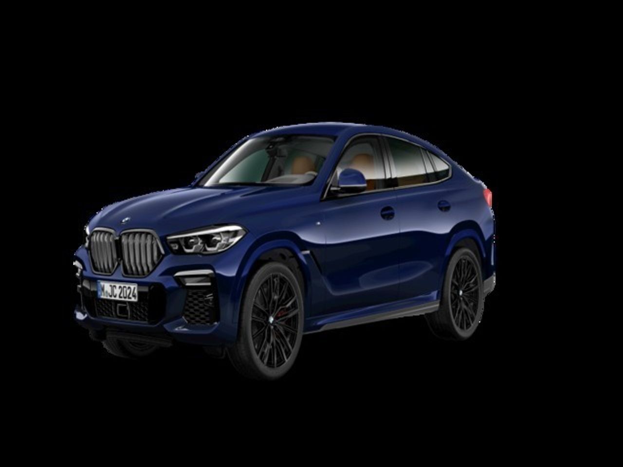 BMW X6 xDrive40d 250 kW (340 CV) - Foto 2