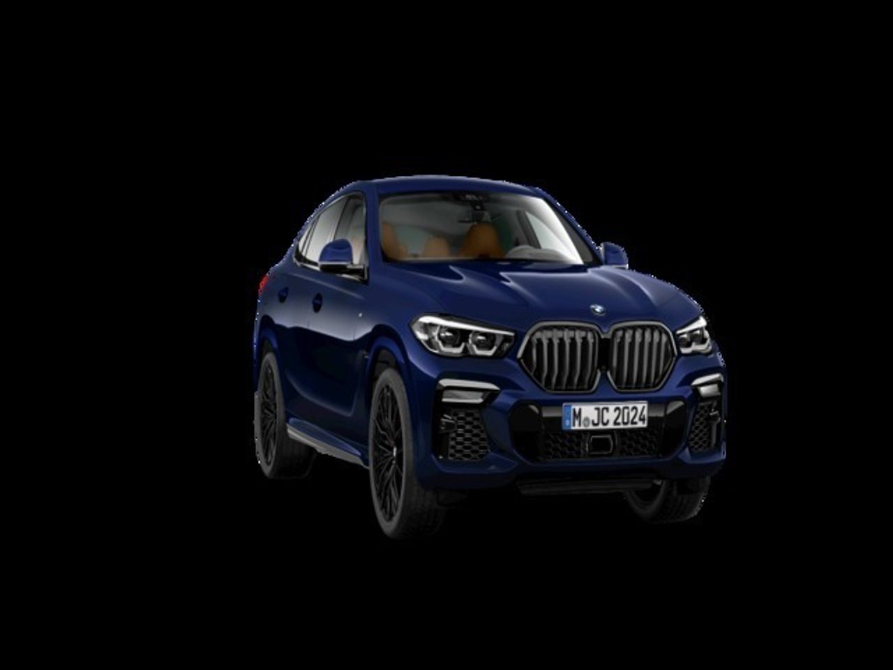 BMW X6 xDrive40d 250 kW (340 CV) - Foto 2