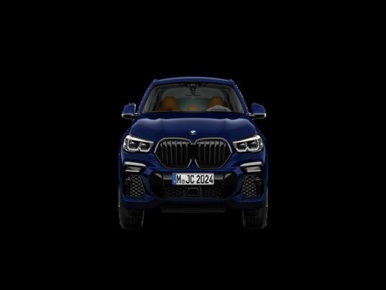 BMW X6 xDrive40d 250 kW (340 CV) - Foto 2