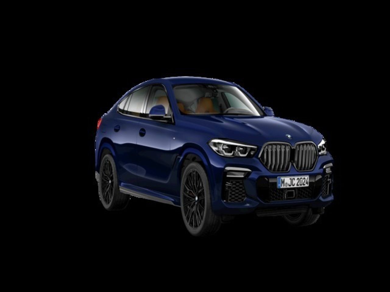BMW X6 xDrive40d 250 kW (340 CV) - Foto 2