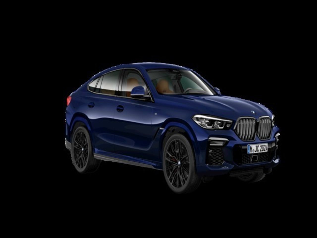 BMW X6 xDrive40d 250 kW (340 CV) - Foto 2
