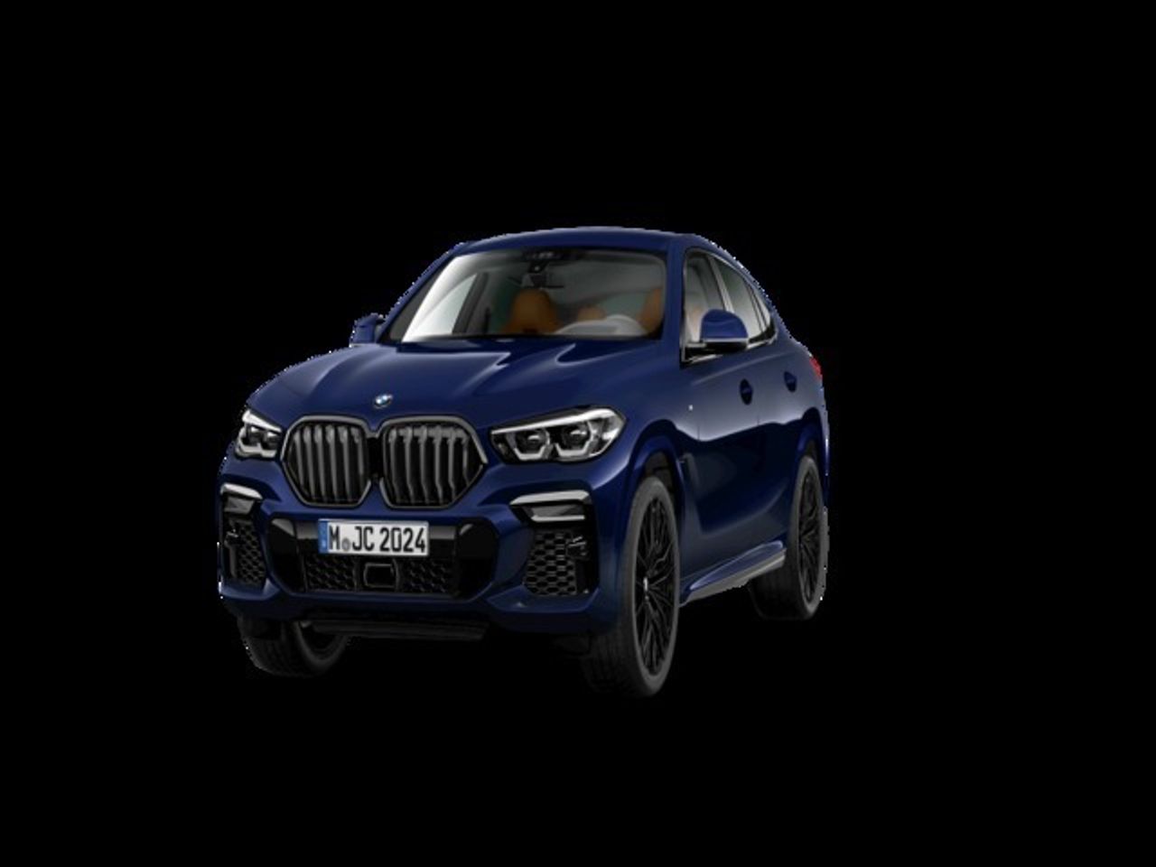 BMW X6 xDrive40d 250 kW (340 CV) - Foto 2