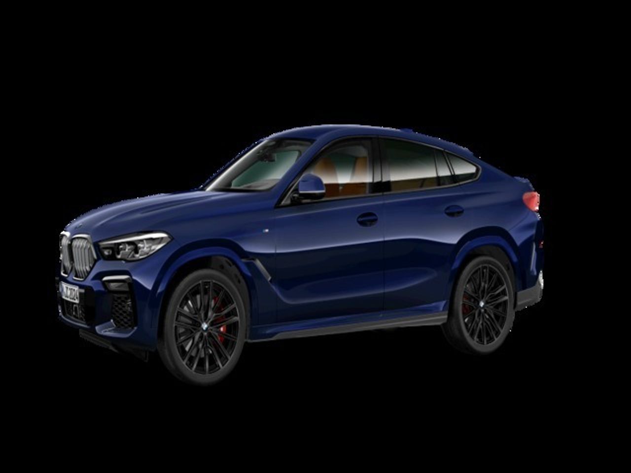 BMW X6 xDrive40d 250 kW (340 CV) - Foto 2