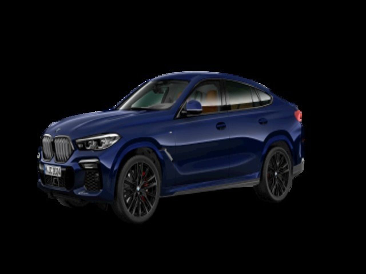 BMW X6 xDrive40d 250 kW (340 CV) - Foto 2