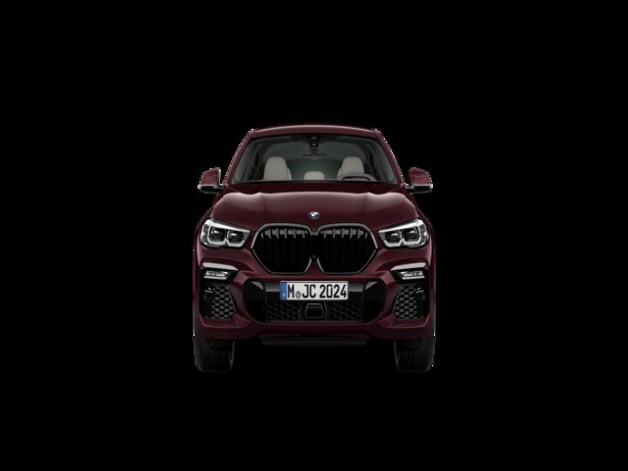 BMW X6 xDrive30d 195 kW (265 CV) - Foto 2