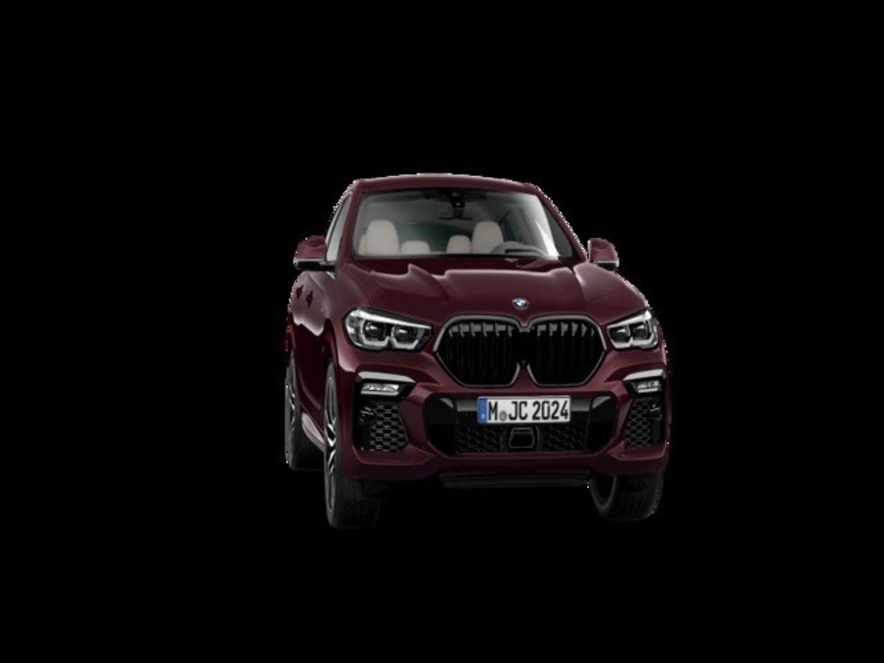 BMW X6 xDrive30d 195 kW (265 CV) - Foto 2