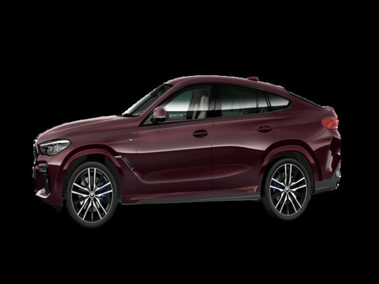BMW X6 xDrive30d 195 kW (265 CV) - Foto 2