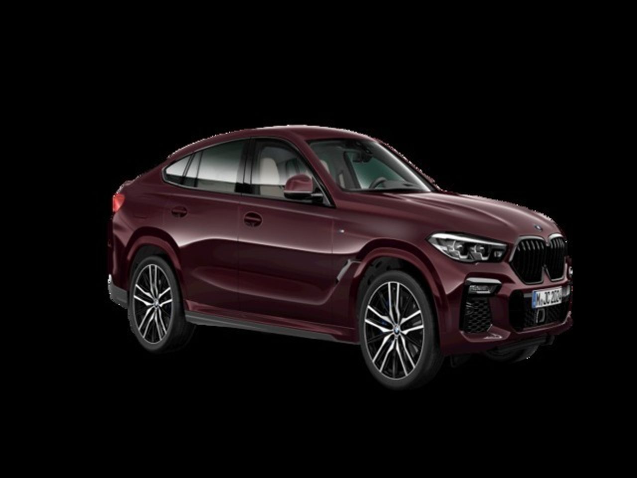 BMW X6 xDrive30d 195 kW (265 CV) - Foto 2