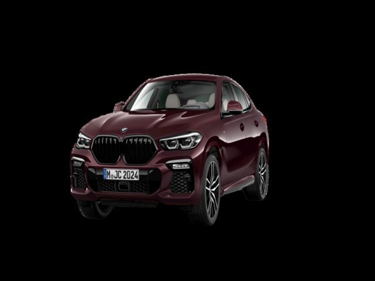 BMW X6 xDrive30d 195 kW (265 CV) - Foto 2