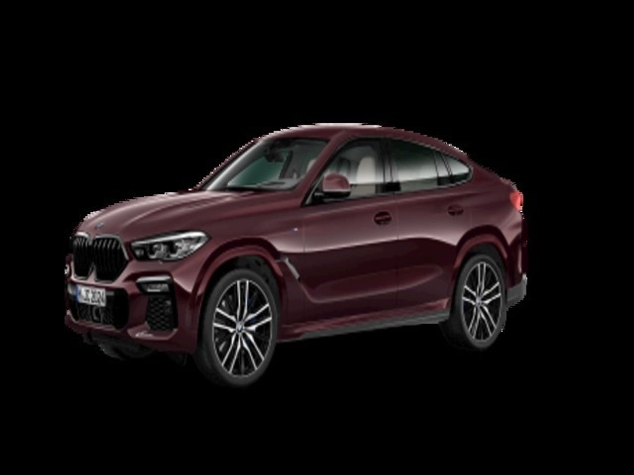 BMW X6 xDrive30d 195 kW (265 CV) - Foto 2
