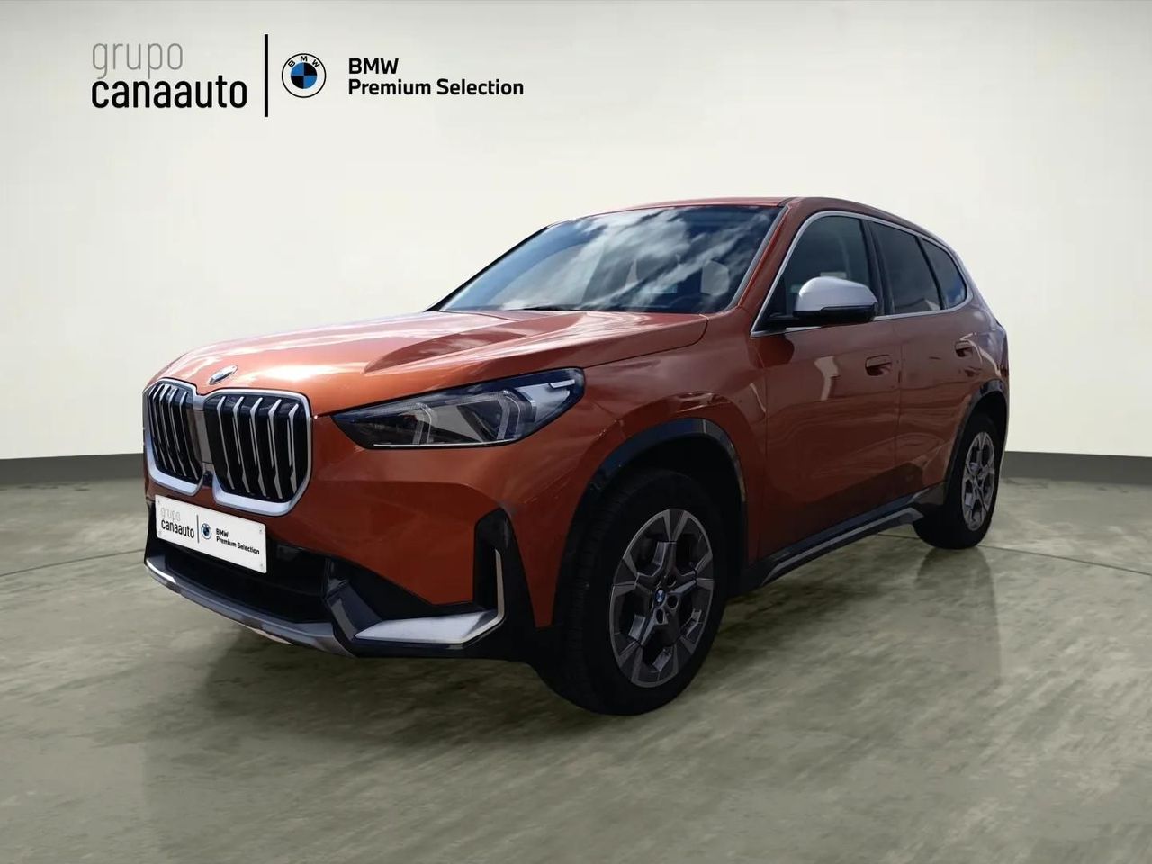 BMW X1 sDrive18d 110 kW (150 CV) - Foto 2