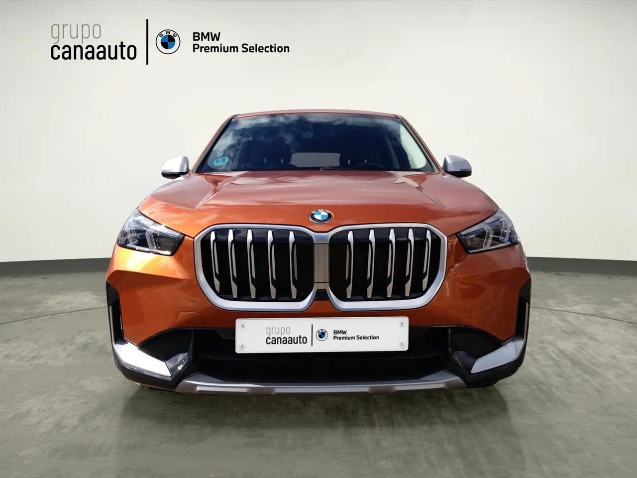 BMW X1 sDrive18d 110 kW (150 CV) - Foto 2