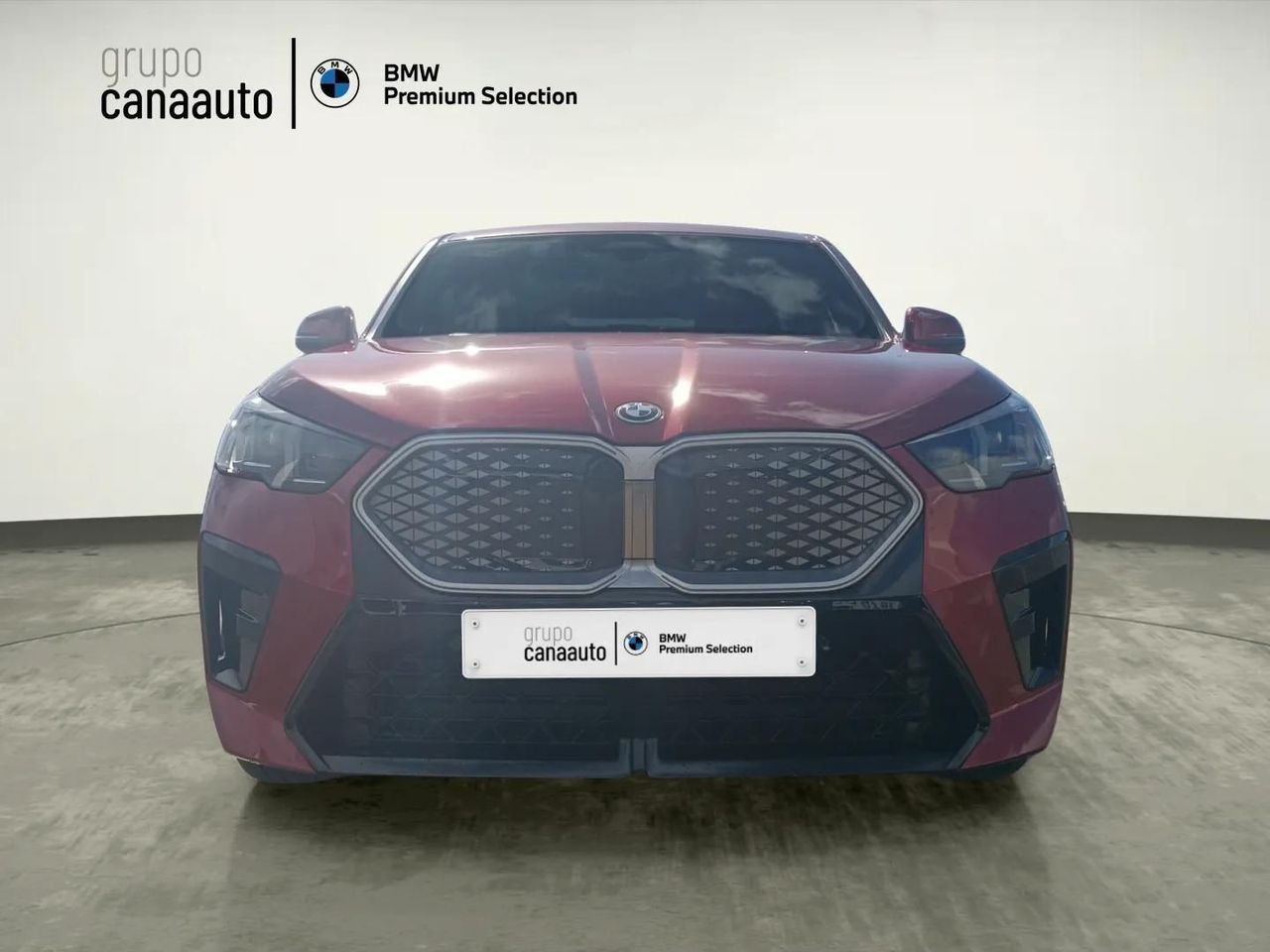 BMW iX2 eDrive20 150 kW (204 CV) - Foto 2