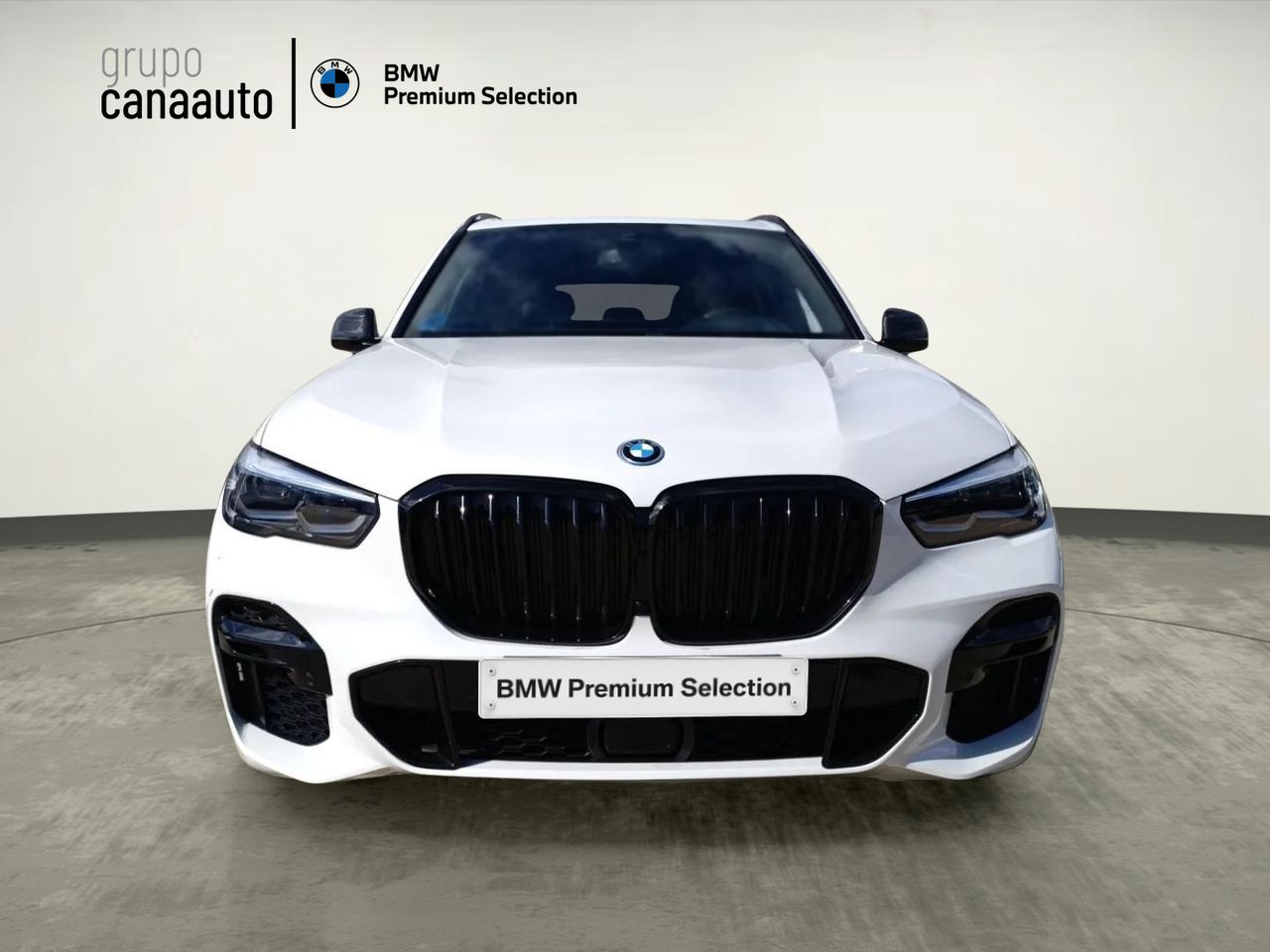 BMW X5 xDrive45e 290 kW (394 CV) - Foto 2