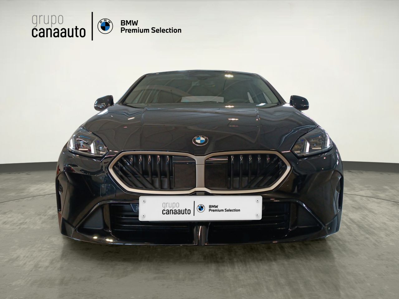 BMW Serie 1 116i 90 kW (122 CV) - Foto 2