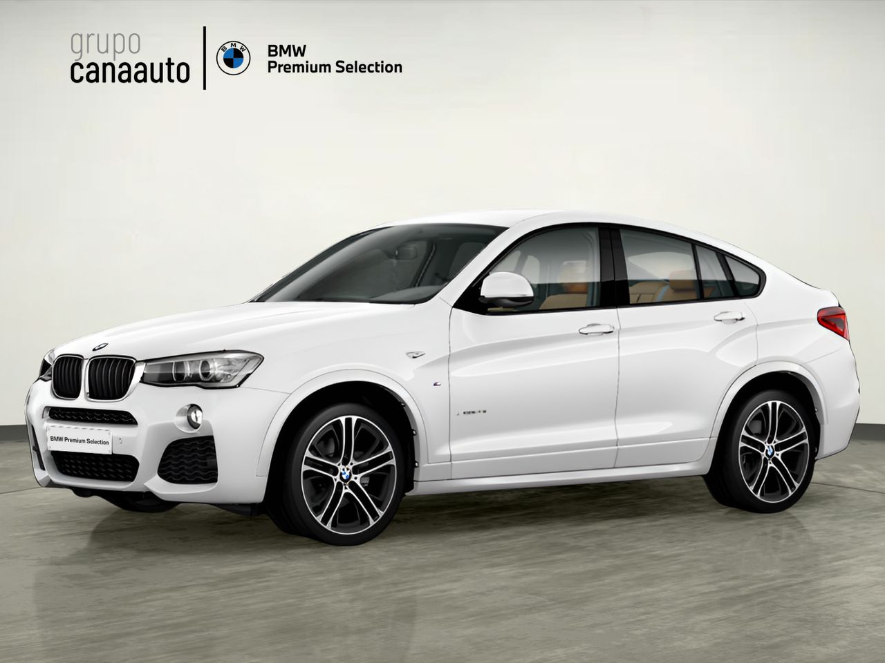 BMW X4 xDrive20i 135 kW (184 CV) - Foto 2