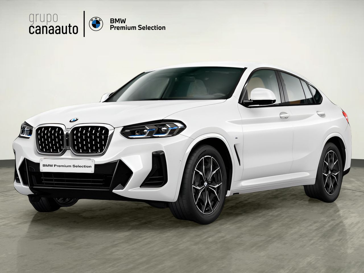 BMW X4 xDrive20d xLine 140 kW (190 CV) - Foto 2