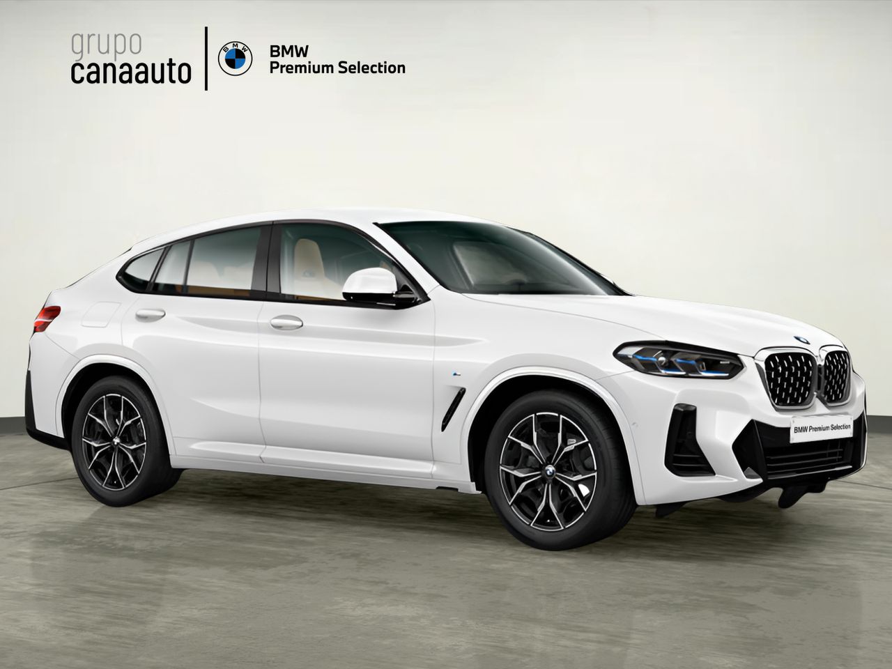 BMW X4 xDrive20d xLine 140 kW (190 CV) - Foto 2