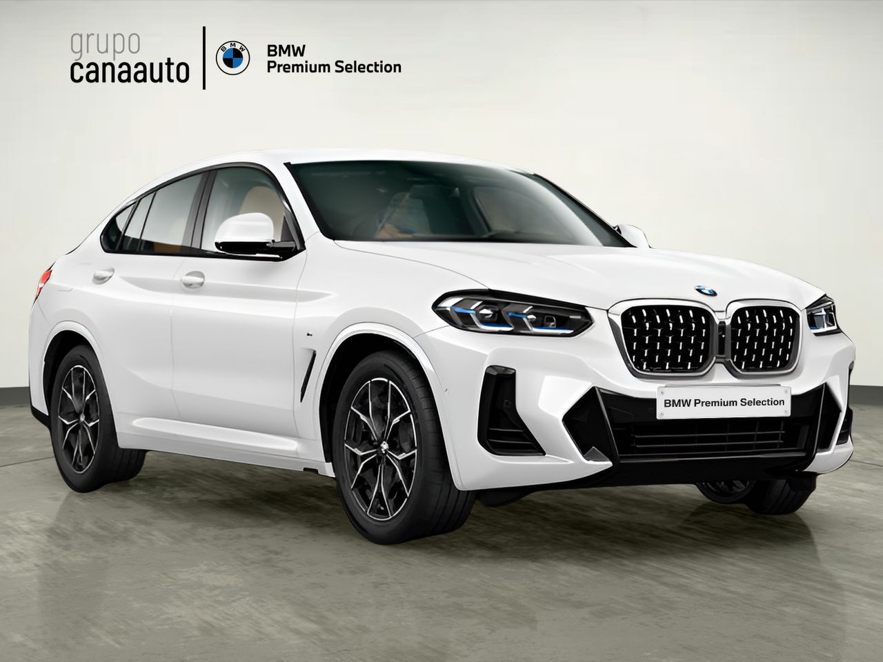 BMW X4 xDrive20d xLine 140 kW (190 CV) - Foto 2