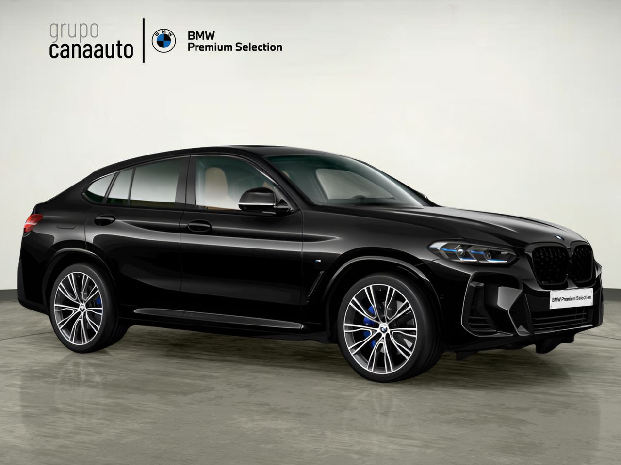 BMW X4 xDrive20d xLine 140 kW (190 CV) - Foto 2