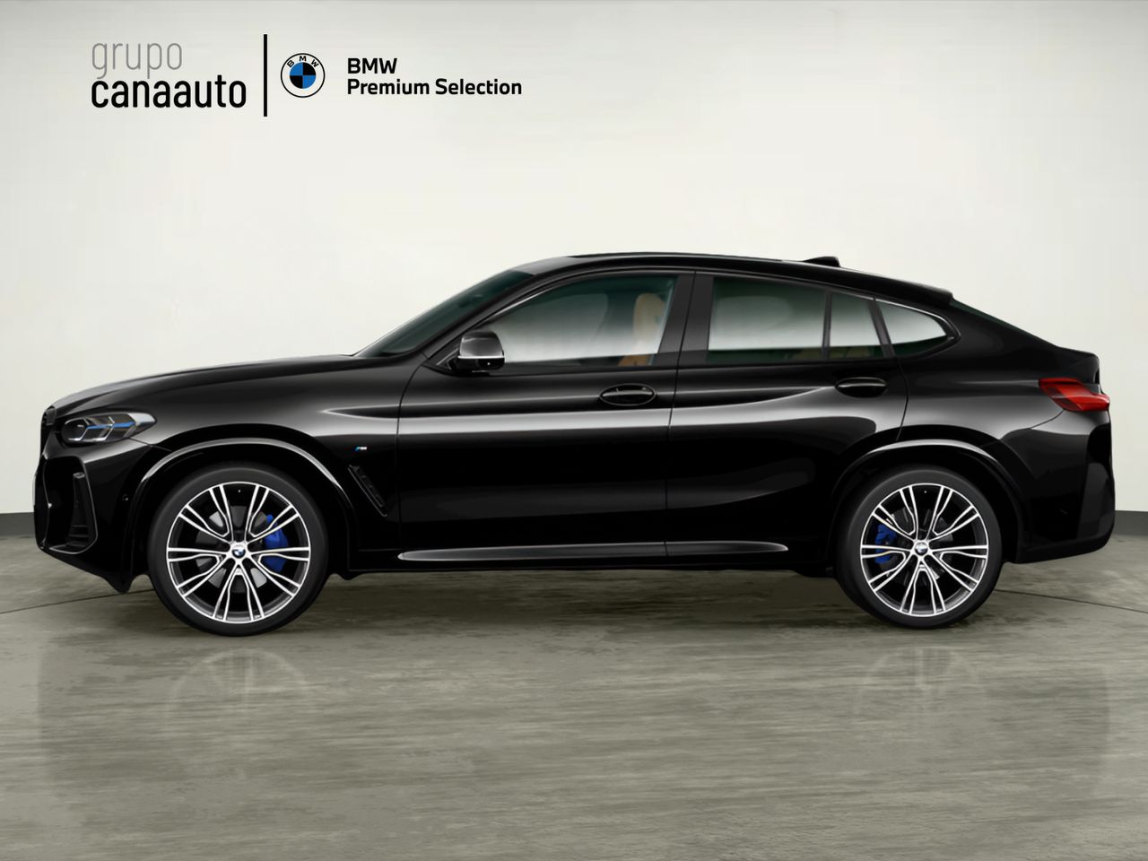 BMW X4 xDrive20d xLine 140 kW (190 CV) - Foto 2