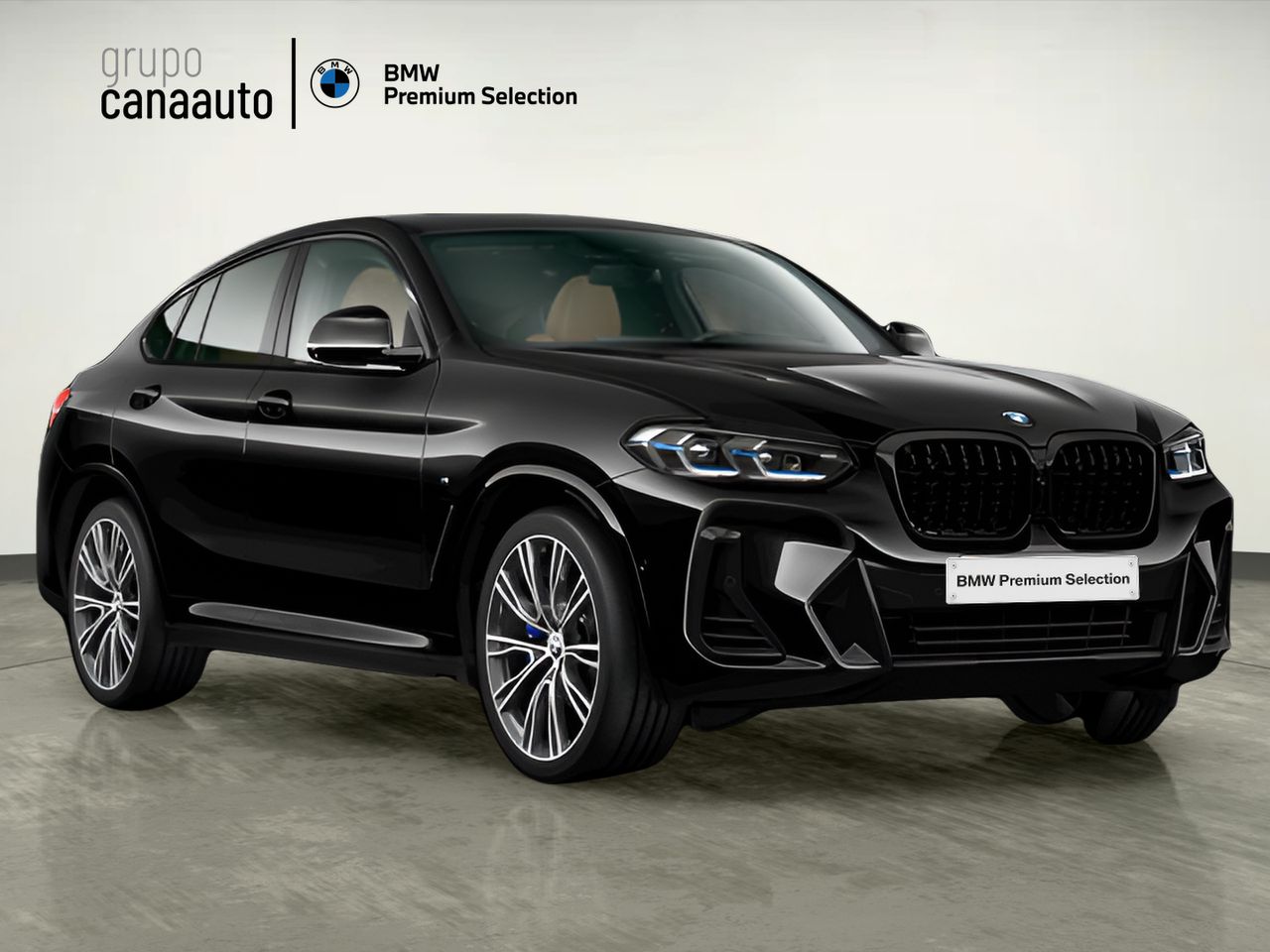 BMW X4 xDrive20d xLine 140 kW (190 CV) - Foto 2