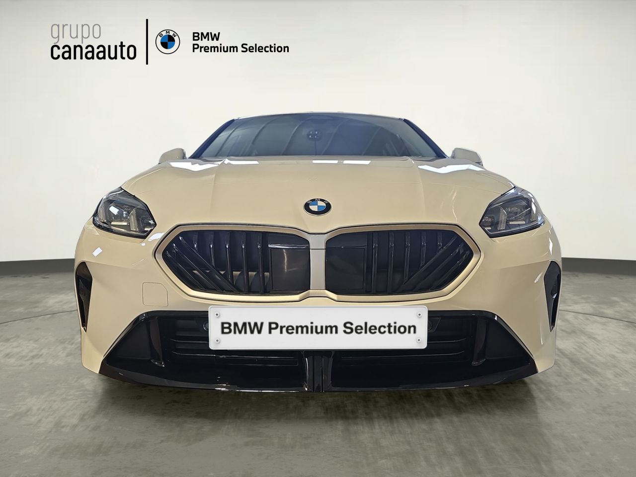BMW Serie 1 116i 90 kW (122 CV) - Foto 2