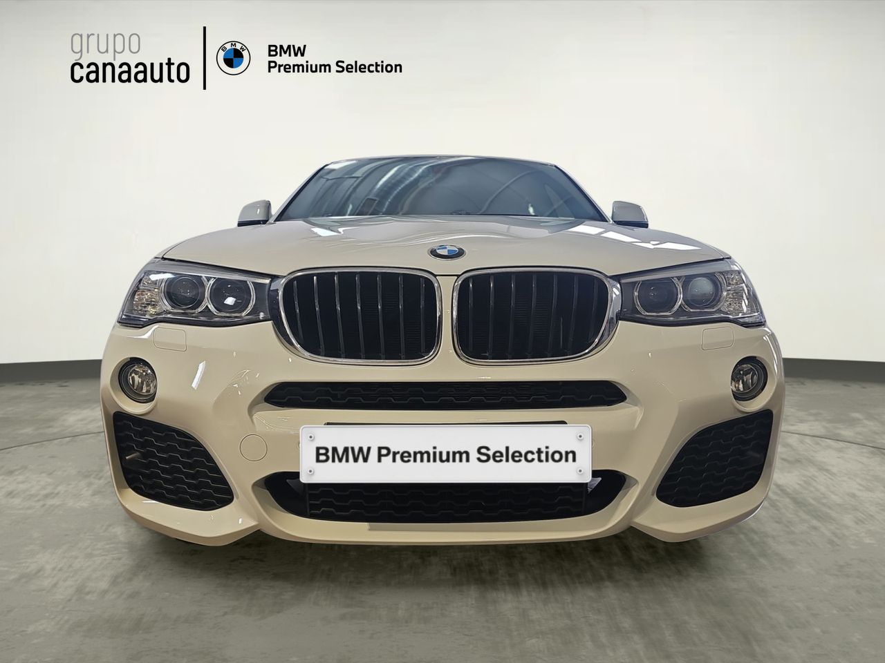 BMW X4 xDrive20i 135 kW (184 CV) - Foto 2